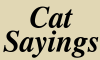 Cat Sayings